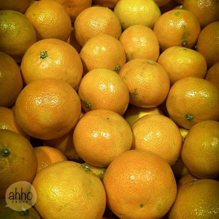 Tangerine - $5/kg