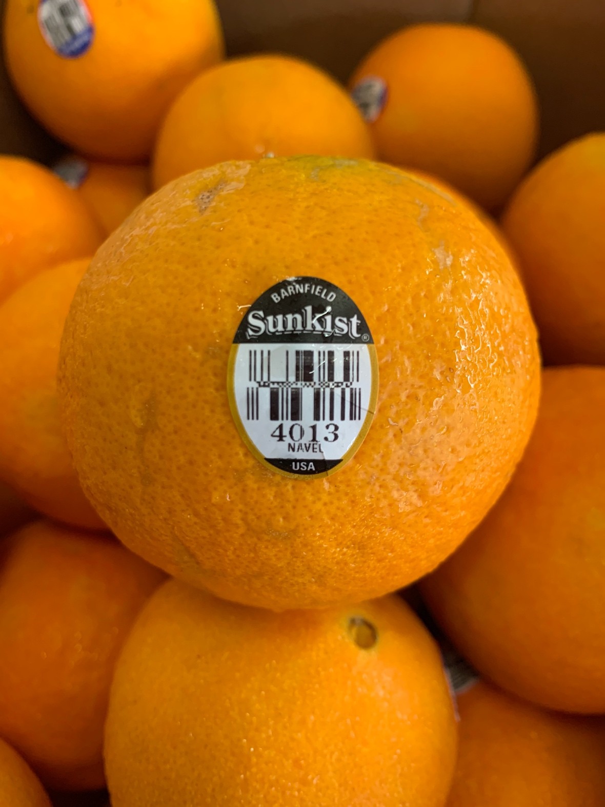 AUS Navel Sunkist (S) - $5/5pcs - Citrus